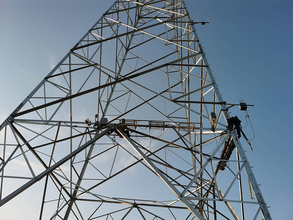 太阳能供电系统：高压电铁塔鸟类活动分析的绿色科技引擎